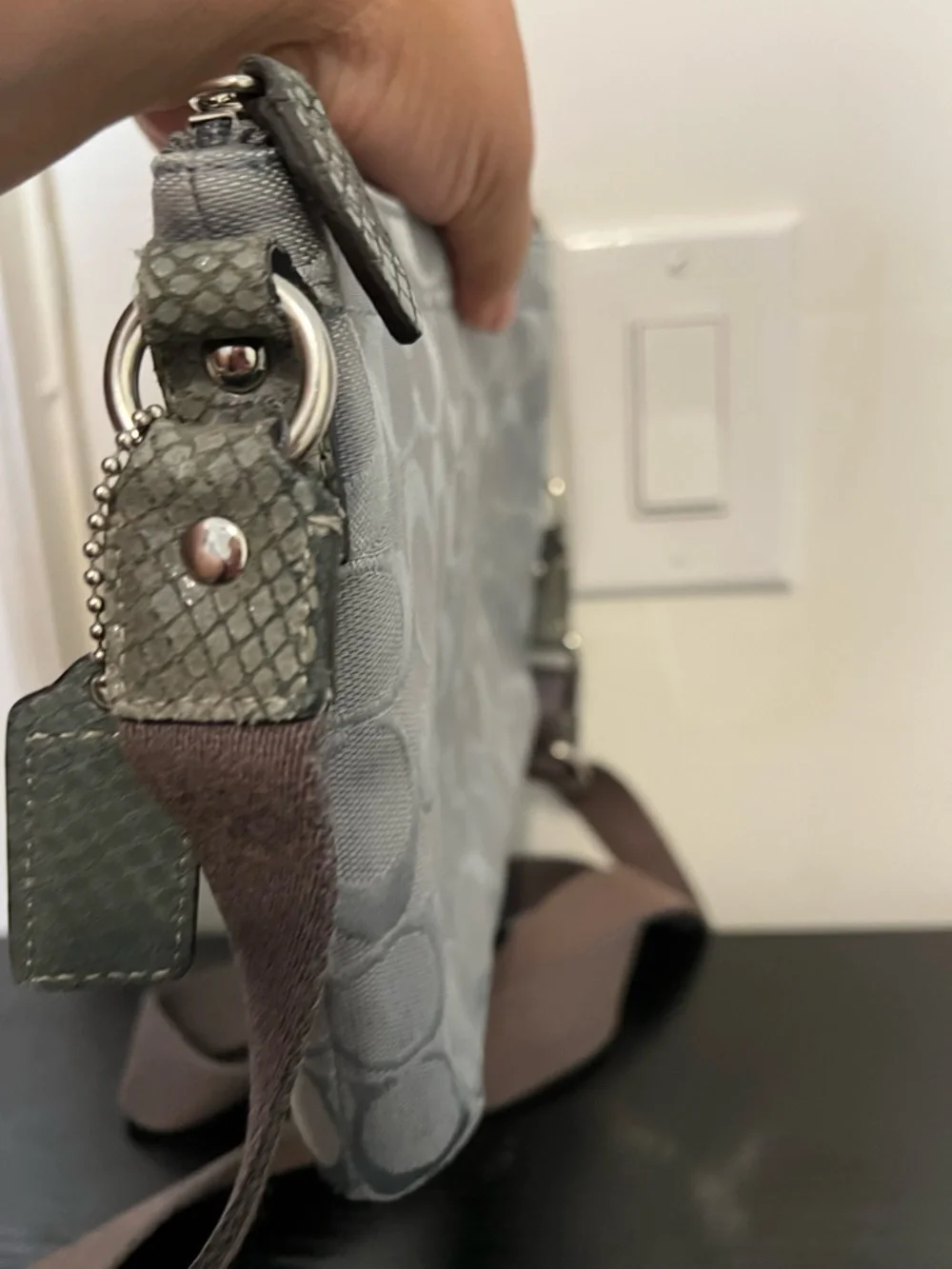 Coach crossbody light
